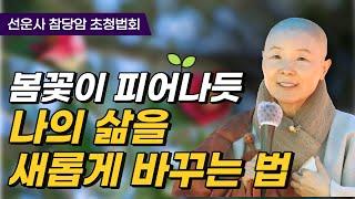 삶을 새롭게 회복시키는 참회 | 지장경의 진정한 의미는?  | 불교에서 가르치는 참된 인간관계 | 사리불과 세존의 마지막 인사