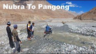 Pangong Lake Pahuchna Ho Gaya Mushkil | Nubra to Pangong | Ladakh Road Trip | Manish Solanki Vlogs