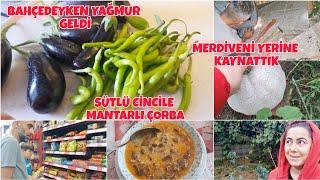 MANTAR KAVGASI YAPTIK️GÖK GÜRÜLTÜSÜ ÇOK KORKUTTU️CİNCİLE MANTARINDAN SÜTLÜ ÇORBA️MERDİVEN TAMAM️