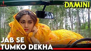 Jab Se Tumko Dekha | Damini | Full Song |  Kumar Sanu, Sadhana Sargam | Rishi Kapoor