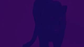Nina Simone - Freedom