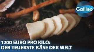 1200 Euro pro Kilo: Die Geheimnisse des teuersten Käse der Welt