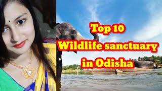 Top 10 wildlife sanctuary in Odisha,Odisha tourism,