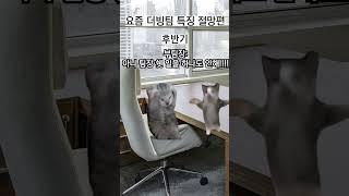 요즘 더빙팀 특징 (절망편)