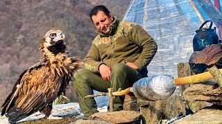 A Real Caucasian Eagle Flew To Us To Have Lunch Together