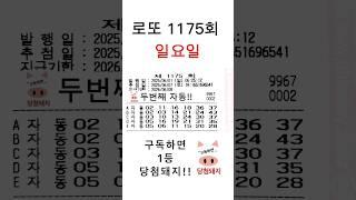 로또 1175회 일요일 첫자동!! #당첨돼지