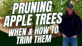 Pruning APPLE Trees - When & How To Trim Your Apple Trees