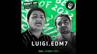 Luigi.edm7 - TrackWolves Best Of 2022 DJ Mix