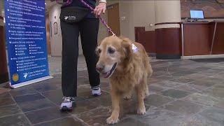 Colorado woman, her dog bring joy to patients, staff at Sky Ridge Medical Center