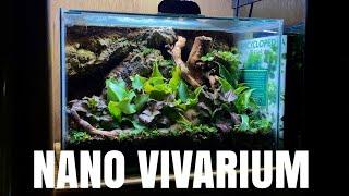 Mini Ecosystem In Aquarium