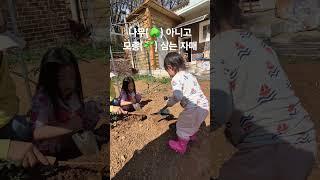 20250420 모종 심는 날 #시연 #시안 #모종심기 #시골생활 #자매 #육아일기