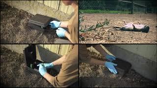 Rodent Control Video - Rodenticide