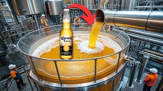 How CORONA BEER is made - Industrial Process