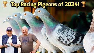 Top Racing Pigeon Winners of 2024 | National Champions Belgium