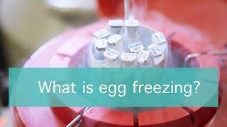 What is egg freezing?