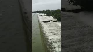 Kotpalli dam in Vikarabad #waterfloating #trendingshort #yt shorts #viral videos #aashi anvi sisters