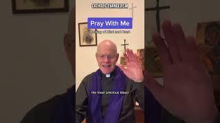 Catholic Priest Healing of Heart and Mind (Father Stephen Rossetti)