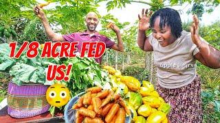 WE FED OUR FAMILY FOR YEARS… USING JUST 1/8 ACRE! 