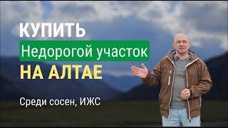 Участок с соснами, в Горном Алтае, рядом с Чемалом, с видом на горы. Под ипотеку НЕ подходит.