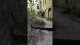 Заброшенный санаторий имени Орджоникидзе в #Сочи  Куда сходить бесплатно в Сочи #shorts #shorts