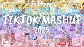 Tiktok Mashup February 2025 (Not Clean)