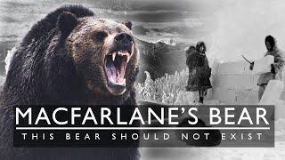 This Bear Should Not Exist! The MacFarlane Bear, 1864