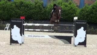 doree van de moskifarm 1.45 csi 3* bonheiden