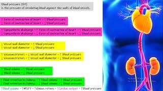 Basic principles of blood pressure control. Chapter 19 part 1. Guyton and Hall Physiology.