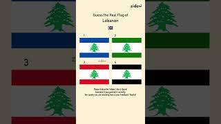 Guess the Real Flag 106 • Lebanon • IQ • zidew #flag #quiz #country #geography