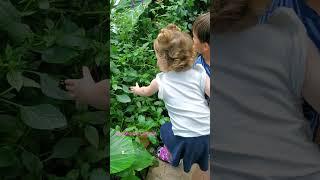 butterfly live museo de ciencia hiuston tx #houston#museo#butterfly @jonhfish29