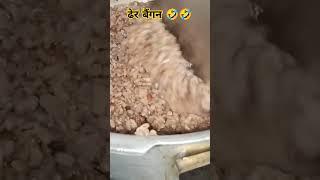ढ़ेर बैगन  #shorts #co #comedy #funny#fun #memes #food #viralshorts#trending #ytshorts #shortsfeed