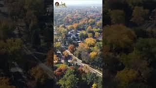 Burlington Real Estate Dynamics - February 2025【Daisy Huang】