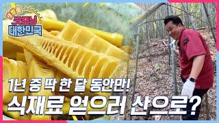 [미식 투어-먹을 만한 한 끼] 전라도에 숨은 맛의 비법? 1년 중 딱 한 달 동안만 얻을 수 있는 귀한 식재료! [굿모닝 대한민국] KBS 250608 방송
