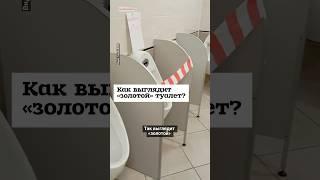Как выглядит «золотой» туалет? #shorts