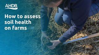 How to assess soil health on farms