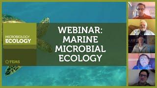 FEMS Microbiology Ecology Webinar on Marine Microbial Ecology