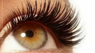 Eyelash extensions for your Tampa Holiday Parties at Fusion Medispa