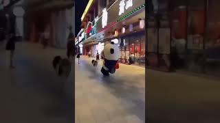 cute panda with dog short funny