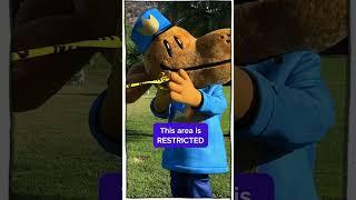 Park Patrol on Duty! | DOG MAN