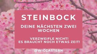 STEINBOCK Tarot | DEINE NÄCHSTEN ZWEI WOCHEN | VERZWEIFLE NICHT! ES BRRAUCHT NOCH ETWAS ZEIT! |