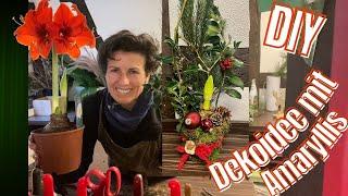 Weihnachtsdeko- Idee mit Amaryllis im Moosmantel DIY-Geschenkidee zum selber machen Winterdeko