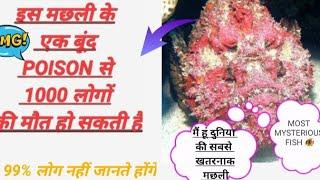 दुनिया की सबसे जहरीली मछली | deadliest fish  in the world #shorts