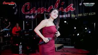 FULL ALBUM CAMELIA MUSIC KHITAN IQBAL BATUKALI KALINYAMATAN JEPARA