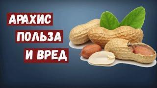 Арахис - польза и вред.