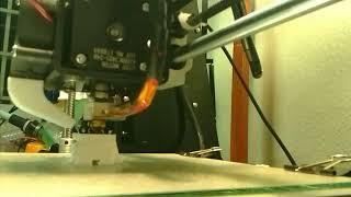 3D printing time lapse of calicat