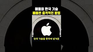 애플이 한국 기술 빼돌린 충격적인 방법