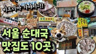 3년 모은 순댓국 맛집 大방출 특집 (-_-'')/ (며칠 비온다길래ㅎㅎ)