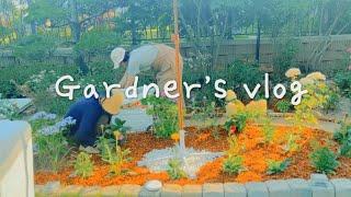 포인트 화단 만들기 마당에서 즐기는 카페감성         |  3대가족 여름가드닝 garden vlog