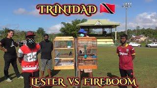 LESTER vs FIREBOOMBULLFINCH BIRD RACE IN DEBEDIAL BIRD GROUND TRINIDAD  2022 |WINNER IS FIREBOOM