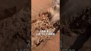 오아시스를 함부로 먹으면 안 되는 이유